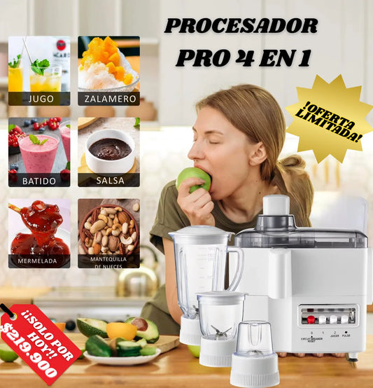 PROCESADOR PRO 4 EN 1